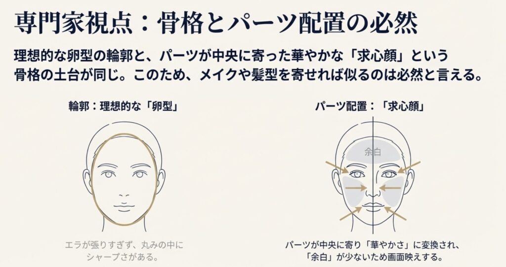 骨格や顔タイプ診断での分析結果