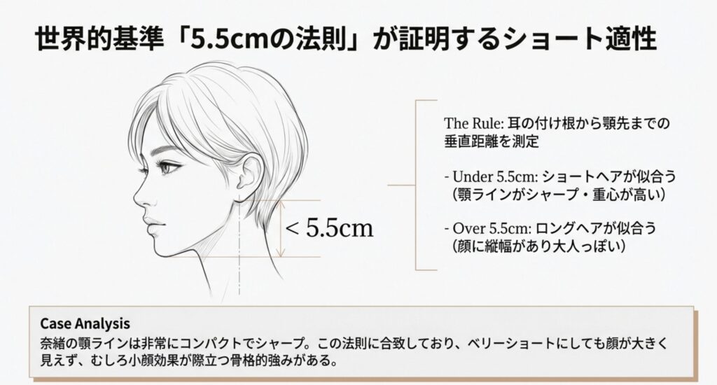 5.5cmの法則から紐解く骨格と顎ラインのバランス