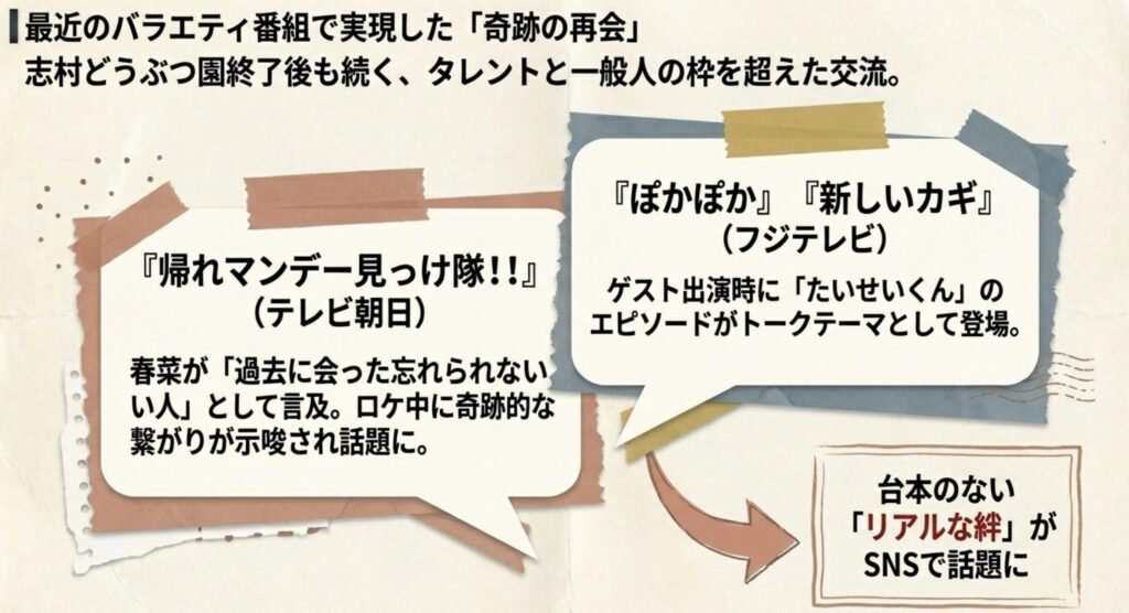 番組企画での再会が話題！二人の出会いの物語