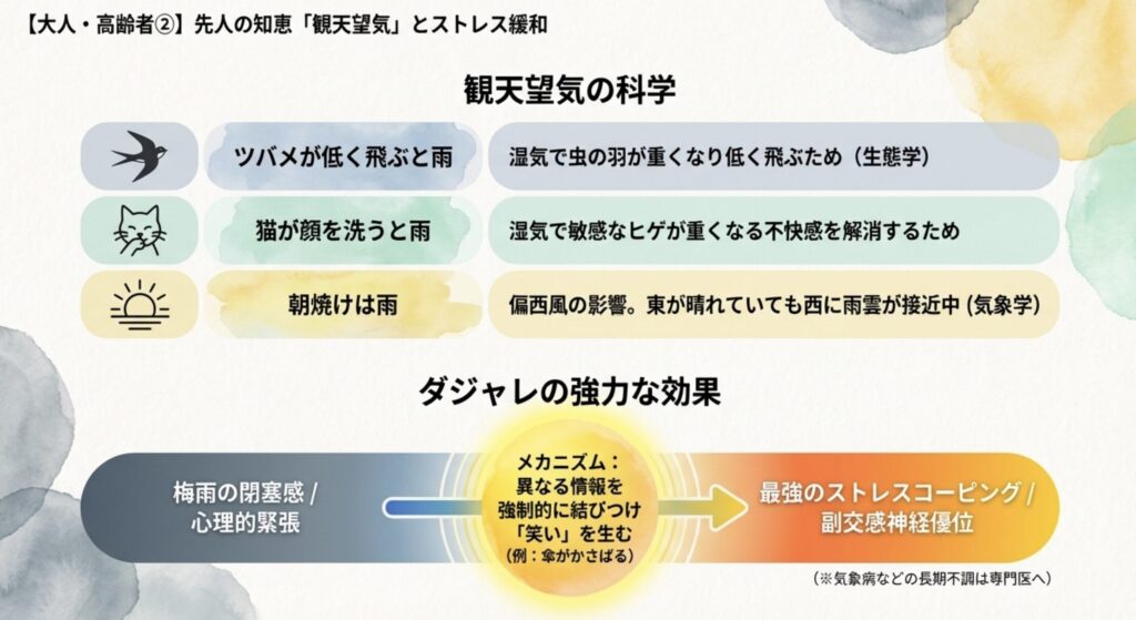 ことわざから学ぶ気象の知恵