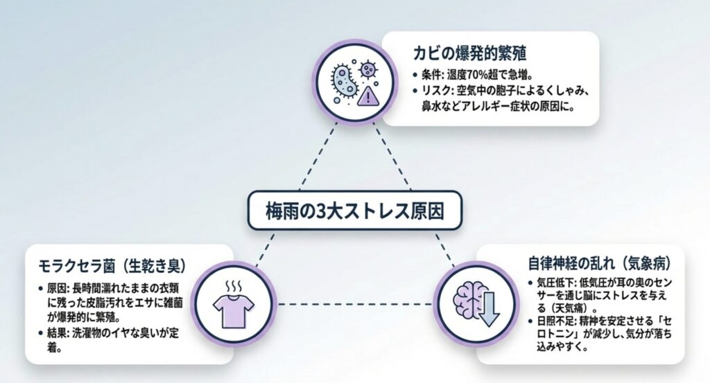 カビ発生と健康被害への深刻な影響