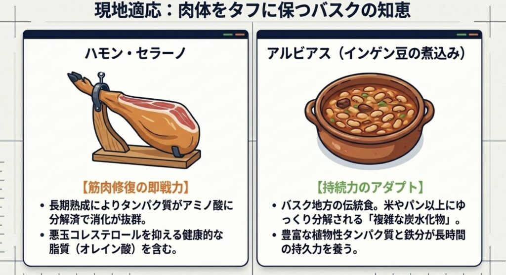 スペインで親しむハモンセラーノと現地への適応