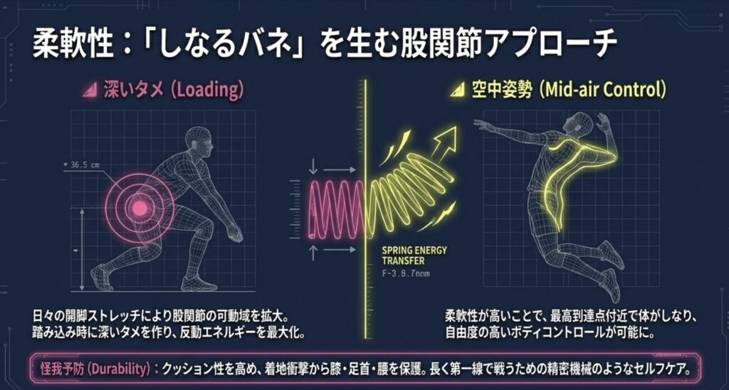 垂直跳び110cm超えを支える股関節の柔軟性