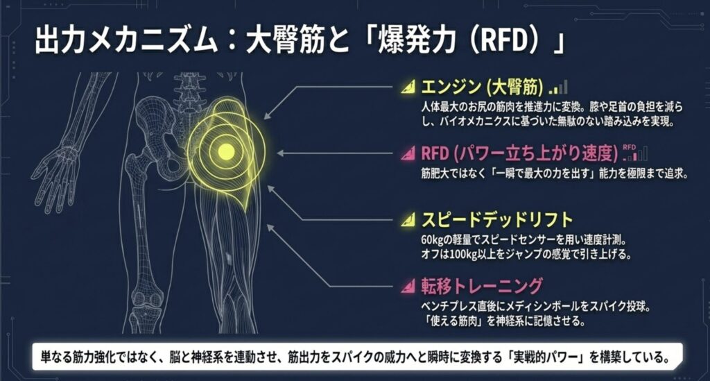 爆発的なパワーを生むデッドリフトとウエイト内容
